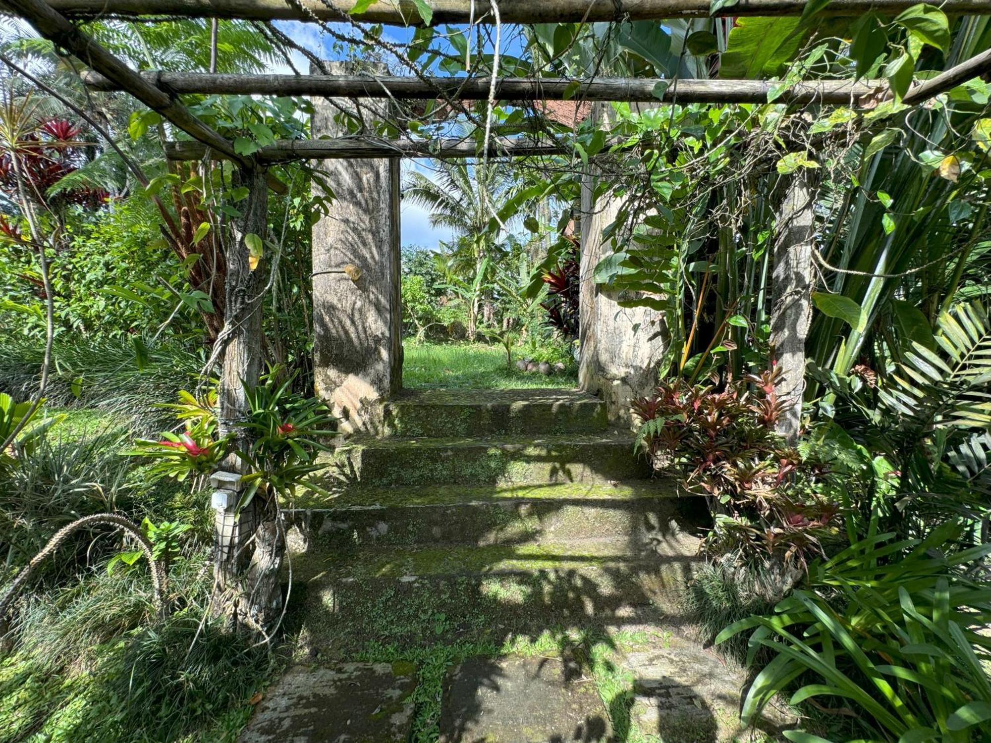 Dewa Jati Cottages Payangan Exterior foto