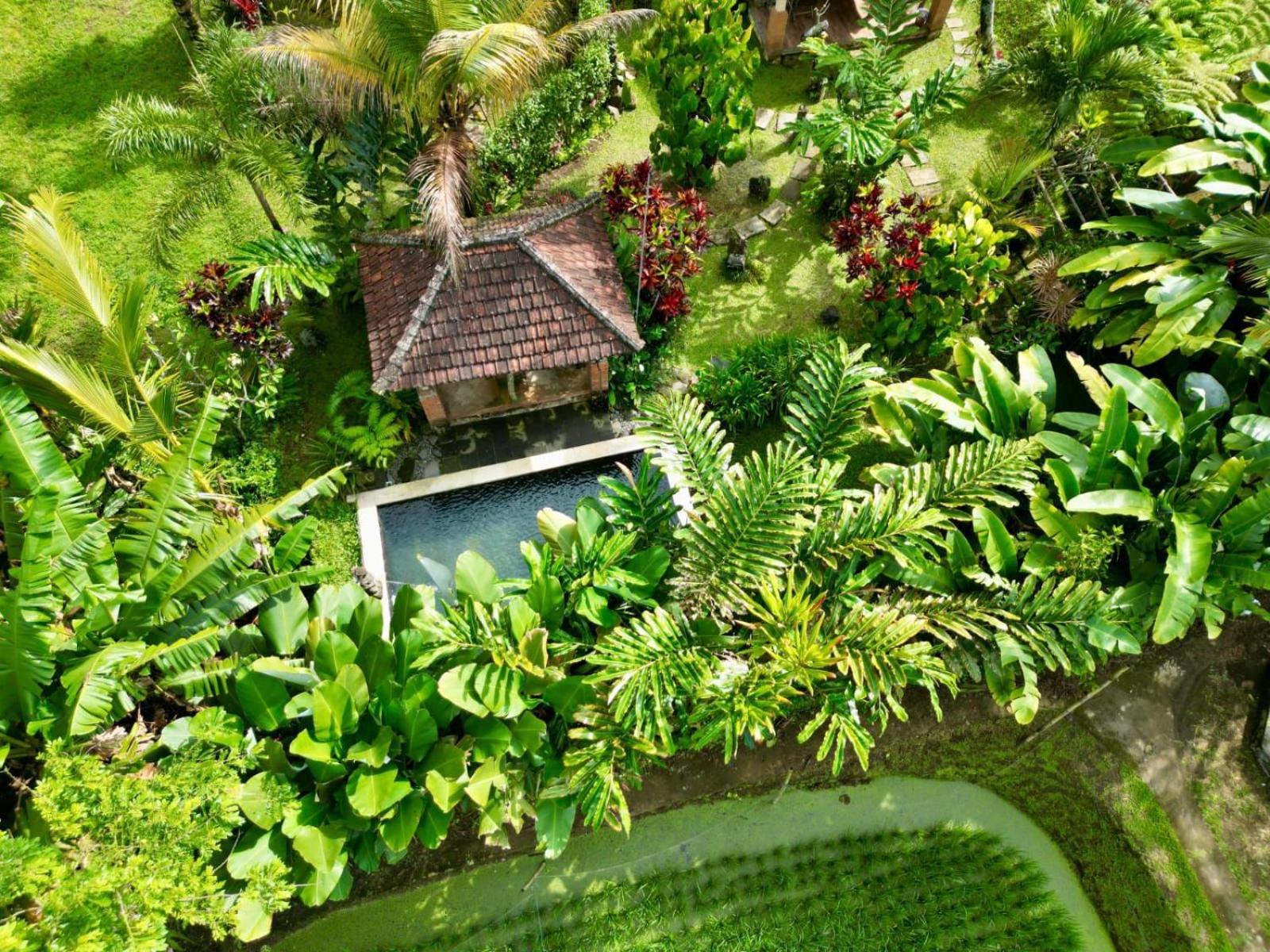 Dewa Jati Cottages Payangan Exterior foto